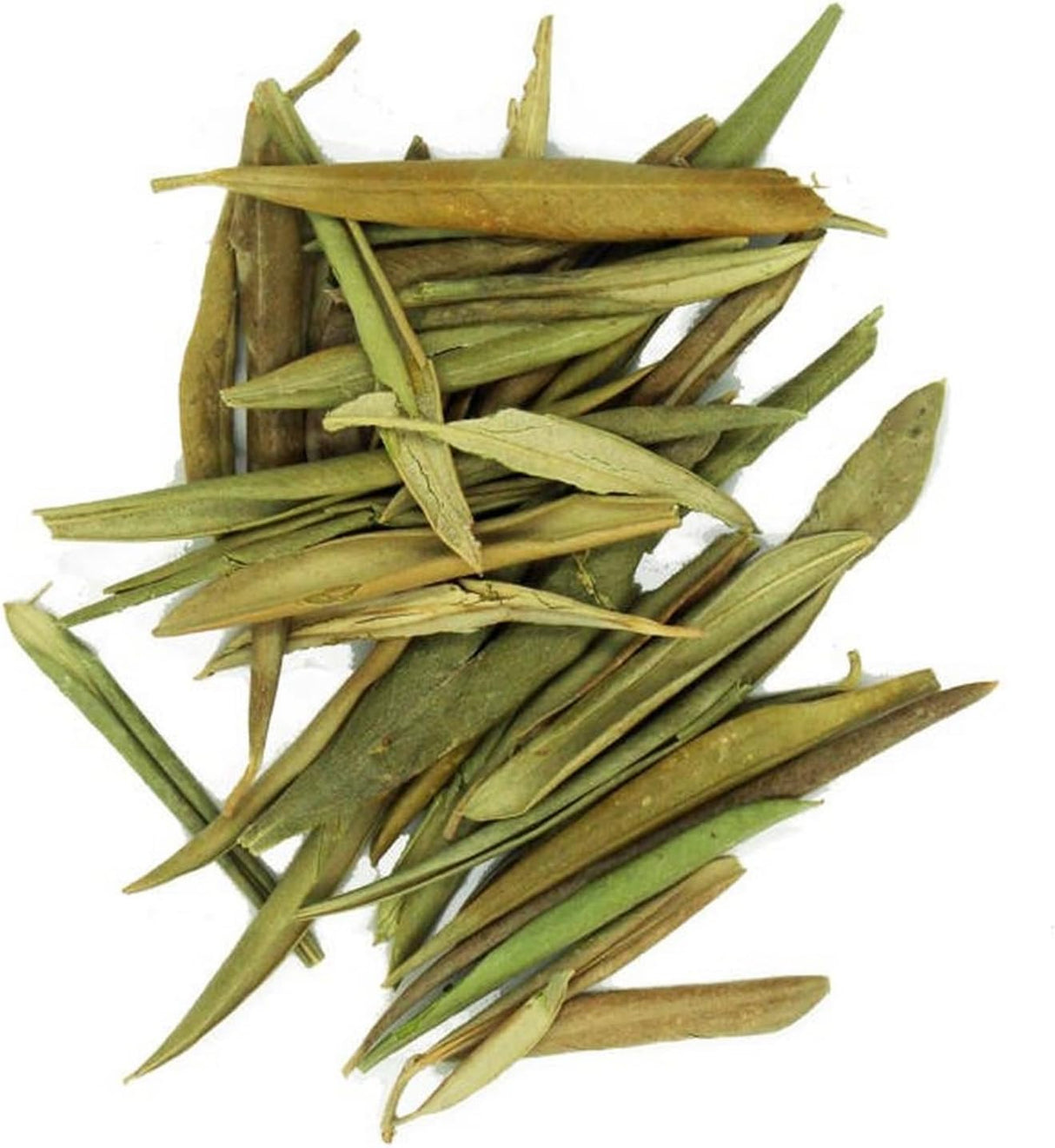 Olivier Feuilles Coupées