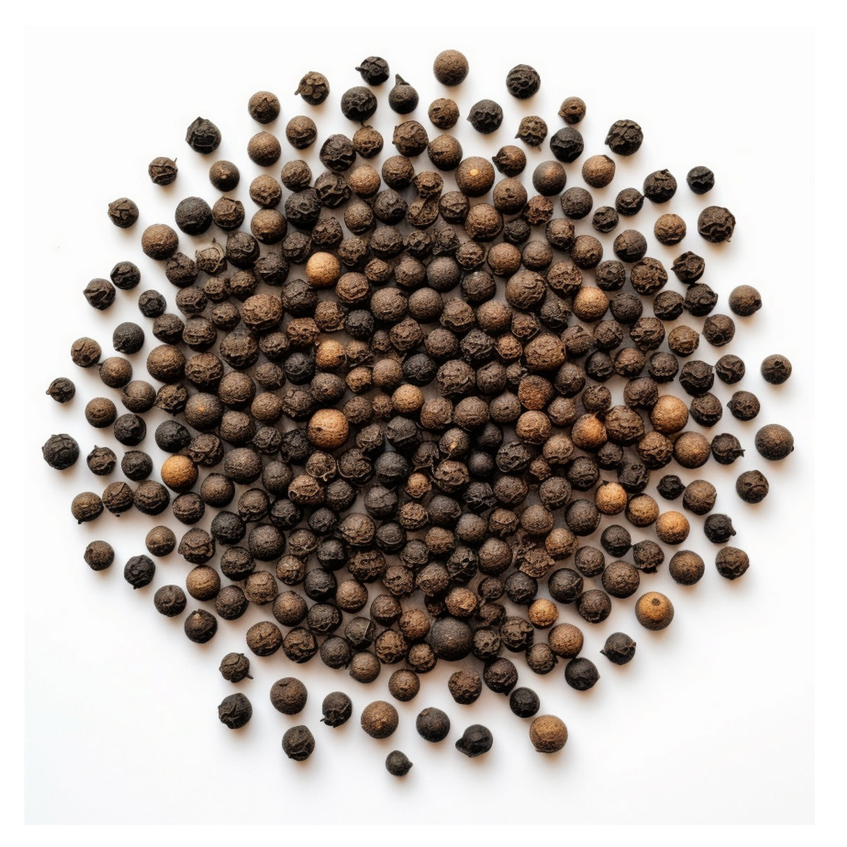 Poivre noir entier de Madagascar