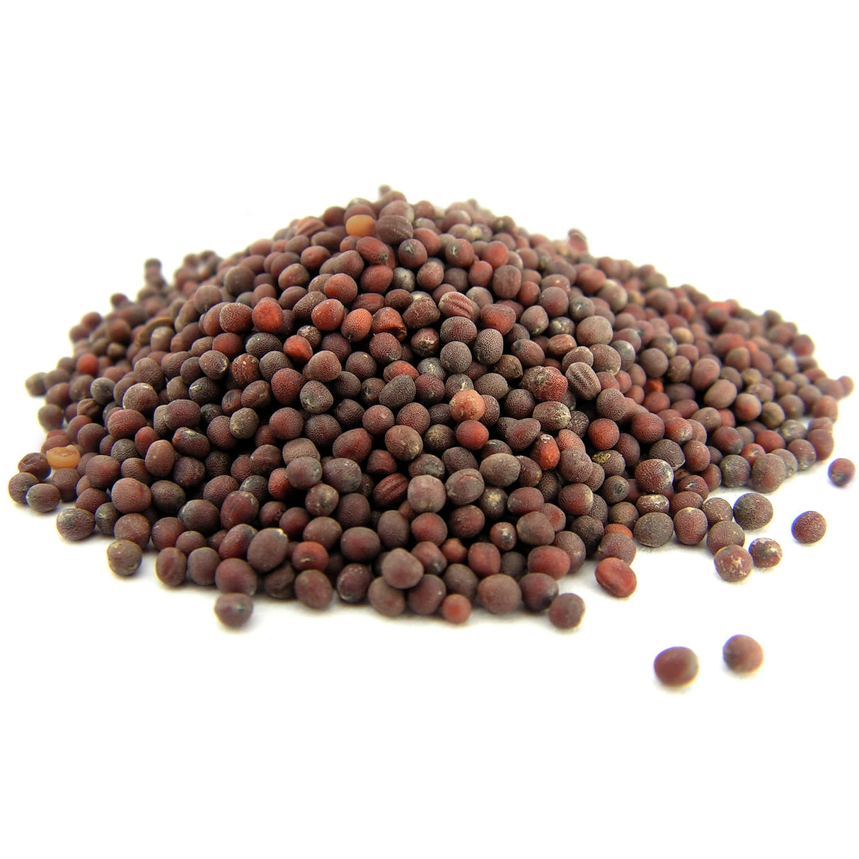 Graines de moutarde brune