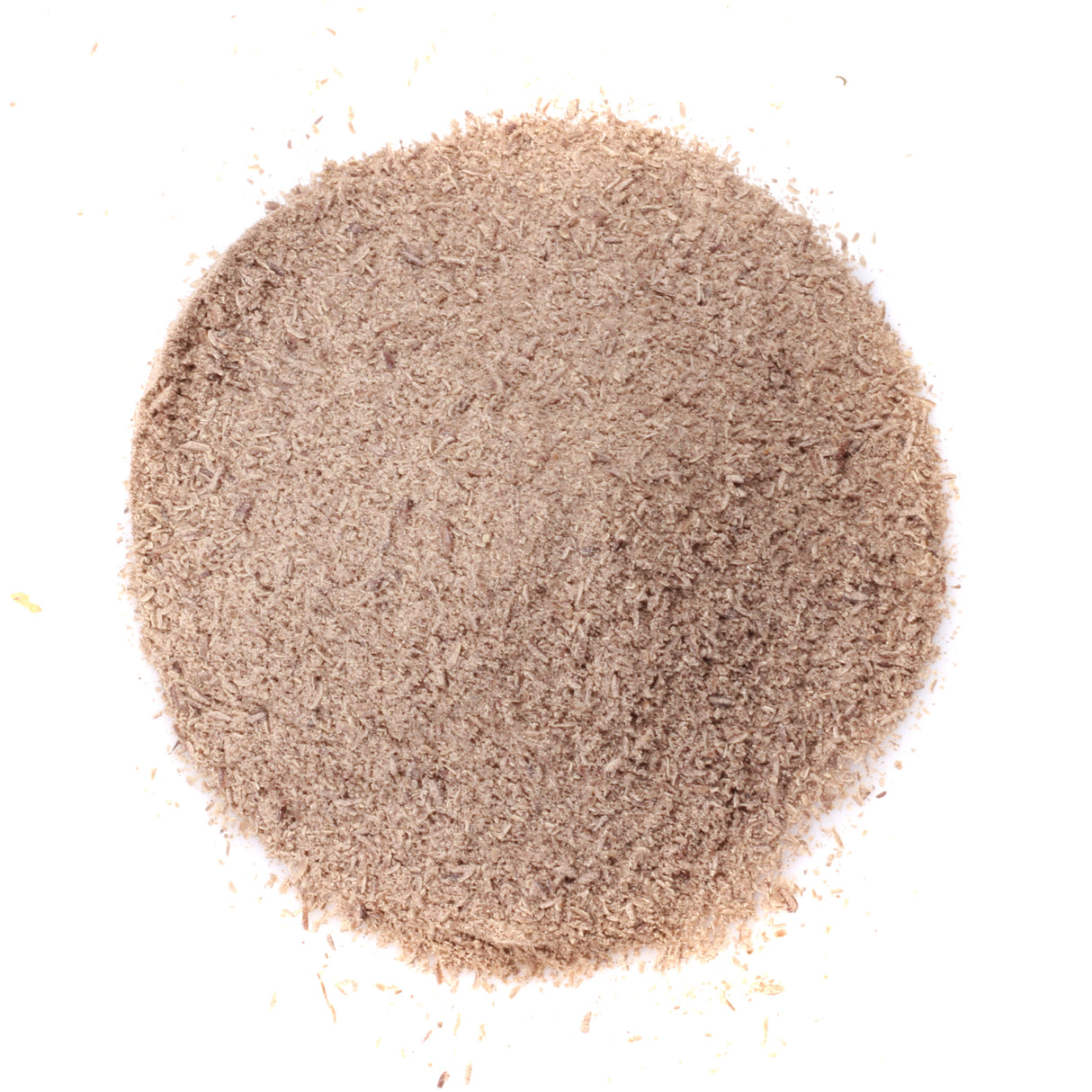 Psyllium Noir en poudre