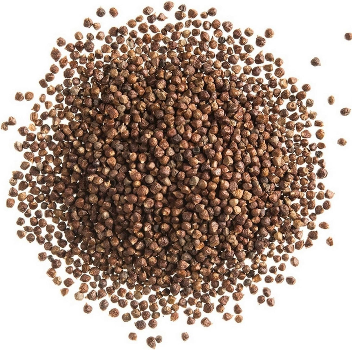 Poivre Maniguette entier - Grains de Paradis