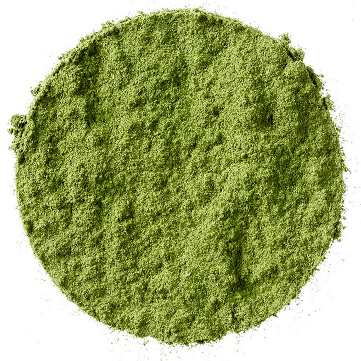 Basilic en poudre