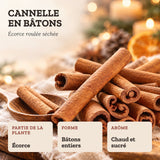 Bâtons de cannelle – ANJEL – visuel 2