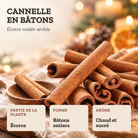 Bâtons de cannelle – ANJEL – visuel 2