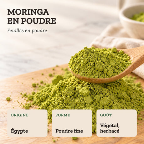Moringa Oleifera en poudre – ANJEL – visuel 2